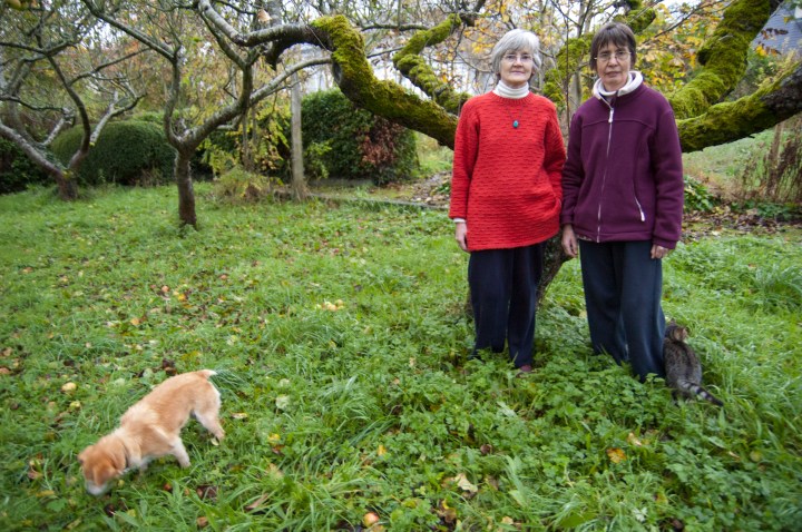 Sisters Noreen Lyons and Anne Mills gather apples at An Gairdin Ecology Center in County Galway, Ireland.